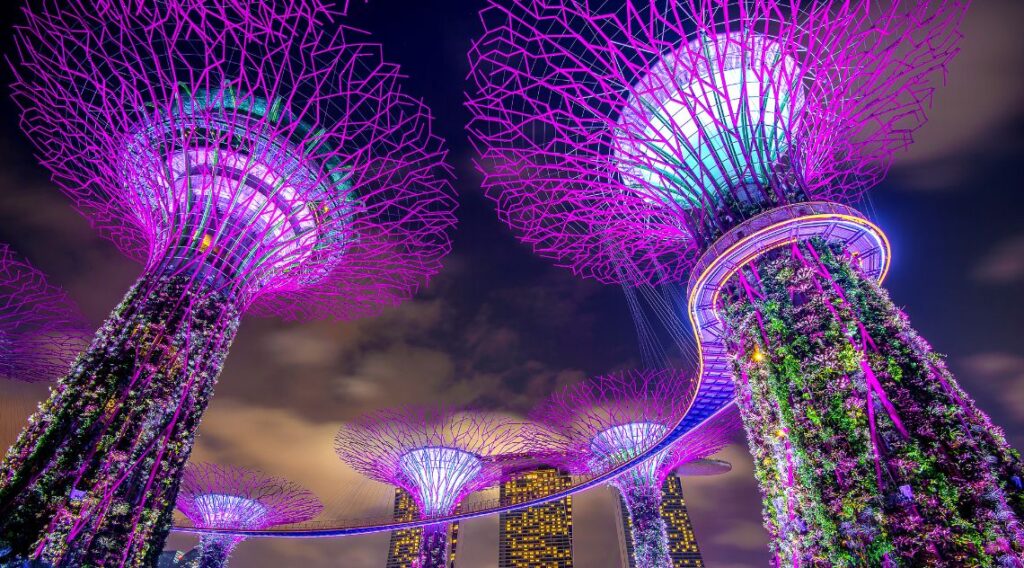 Singapore - Garden by the Bay at night